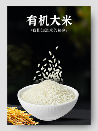 传统美食中国风有机大米详情描述大米详情页